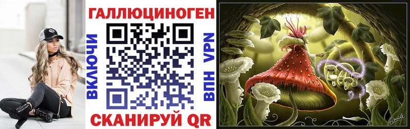 дарк нет телеграм Дедовск Псилоцибиновые грибы MAGIC MUSHROOMS