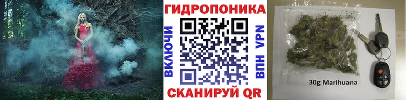 Шишки марихуана конопля  Дедовск 